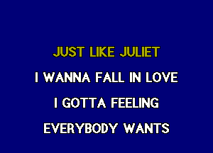 JUST LIKE JULIET

I WANNA FALL IN LOVE
I GOTTA FEELING
EVERYBODY WANTS