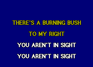 THERE'S A BURNING BUSH

TO MY RIGHT
YOU AREN'T IN SIGHT
YOU AREN'T IN SIGHT