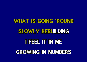 WHAT IS GOING 'ROUND

SLOWLY REBUILDING
I FEEL IT IN ME
GROWING IN NUMBERS