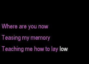 Where are you now

Teasing my memory

Teaching me how to lay low