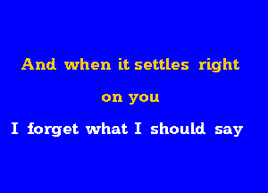 And when it settles right

on you

I forget what I should say