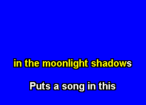 in the moonlight shadows

Puts a song in this