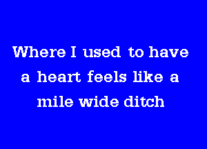 Where I used to have
a heart feels like a
mile wide ditch