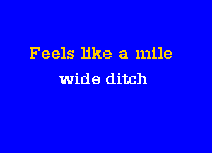 Feels like a mile

Wide ditch