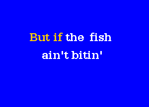 But if the fish

ain't bitin'