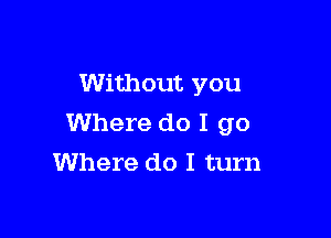 Without you

Where do I go
Where do I turn