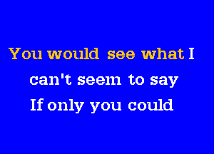You would see what I
can't seem to say
If only you could