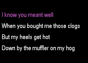 I know you meant well
When you bought me those clogs
But my heels get hot

Down by the muffler on my hog