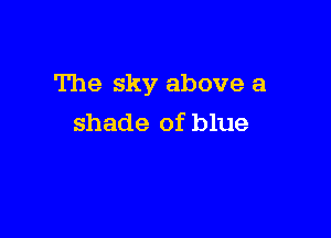 The sky above a

shade of blue