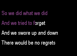 So we did what we did
And we tried to forget

And we swore up and down

There would be no regrets
