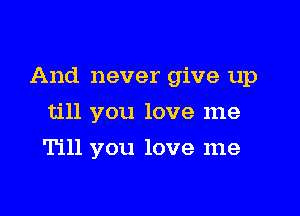 And never give up

till you love me
Till you love me