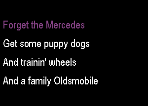 Forget the Mercedes

Get some puppy dogs

And trainin' wheels

And a family Oldsmobile