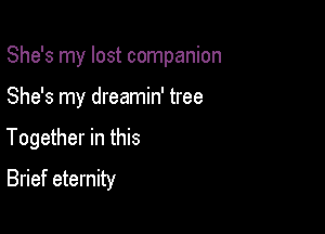 She's my lost companion

She's my dreamin' tree
Together in this
Brief eternity