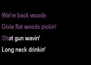We're back woods

Dixie fIat woods pickin'

Shot gun wavin'

Long neck drinkin'