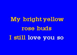 My bright yellow
rose buds

I still love you so