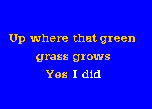 Up where that green

grass grows
Yes I did