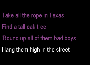 Take all the rope in Texas

Find a tall oak tree

'Round up all of them bad boys

Hang them high in the street