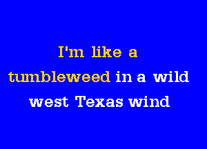 I'm like a
tumbleweed in a wild
west Texas wind