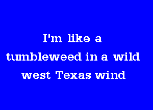 I'm like a
tumbleweed in a wild
west Texas wind