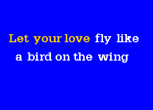 Let your love fly like

a bird on the wing