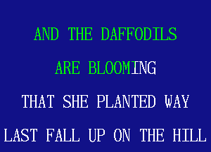 AND THE DAFFODILS
ARE BLOOMING
THAT SHE PLANTED WAY
LAST FALL UP ON THE HILL