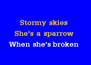 Stonny skies

She's a sparrowr
When she's broken