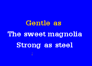 Gentle as
The sweet magnolia

Strong as steel