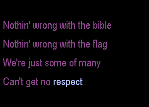 Nothin' wrong with the bible
Nothin' wrong with the flag

We're just some of many

Can't get no respect