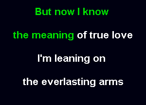 But now I know
the meaning of true love

I'm leaning on

the everlasting arms
