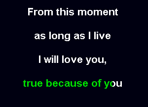 From this moment
as long as I live

I will love you,

true because of you