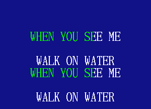 WHEN YOU SEE ME

WALK 0N WATER
WHEN YOU SEE ME

WALK 0N WATER l