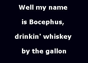 Well my name

is Bocephus,

drinkin' whiskey

by the gallon