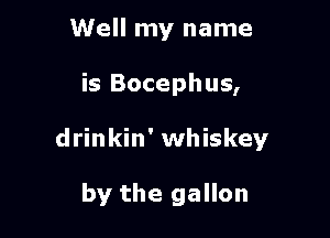 Well my name

is Bocephus,

drinkin' whiskey

by the gallon