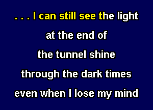 . . . I can still see the light
at the end of

the tunnel shine

through the dark times

even when I lose my mind