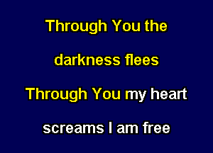 Through You the

darkness flees

Through You my heart

screams I am free