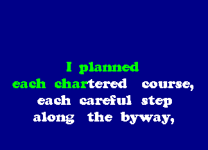 I planned

each chartered course,
each careful step

along the byway,
