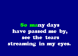 So many days

have passed me by,
see the tears
streaming in my eyes.