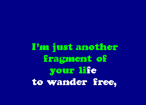 Pm just another

fragment of
your life
to wander free,