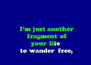 Pm just another

fragment of
your life
to wander free,