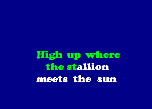 High up where
the stallion
meets the sun