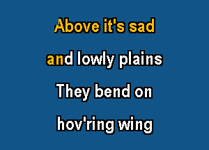Above it's sad

and lowly plains

They bend on

hov'ring wing