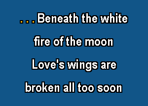 ...Beneath the white

fire ofthe moon

Love's wings are

broken all too soon