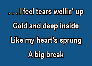 ...lfeel tears wellin' up

Cold and deep inside

Like my heart's sprung
A big break