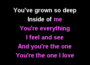 You've grown so deep
Inside of me
You're everything

I feel and see
And you're the one
You're the one I love