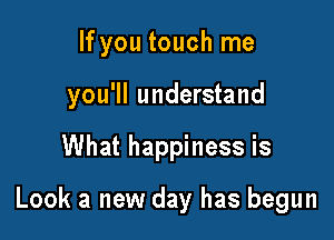If you touch me
you'll understand

What happiness is

Look a new day has begun