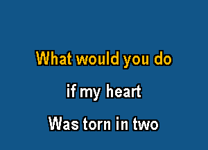 What would you do

if my heart

Was torn in two
