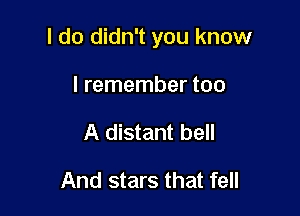 I do didn't you know

I remember too
A distant bell

And stars that fell