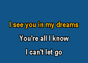 I see you in my dreams

You're all I know

I can't let go