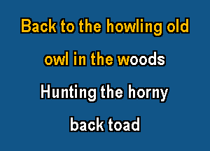 Back to the howling old

owl in the woods

Hunting the horny
backtoad