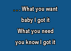 ...What you want
baby I got it
What you need

you knowl got it